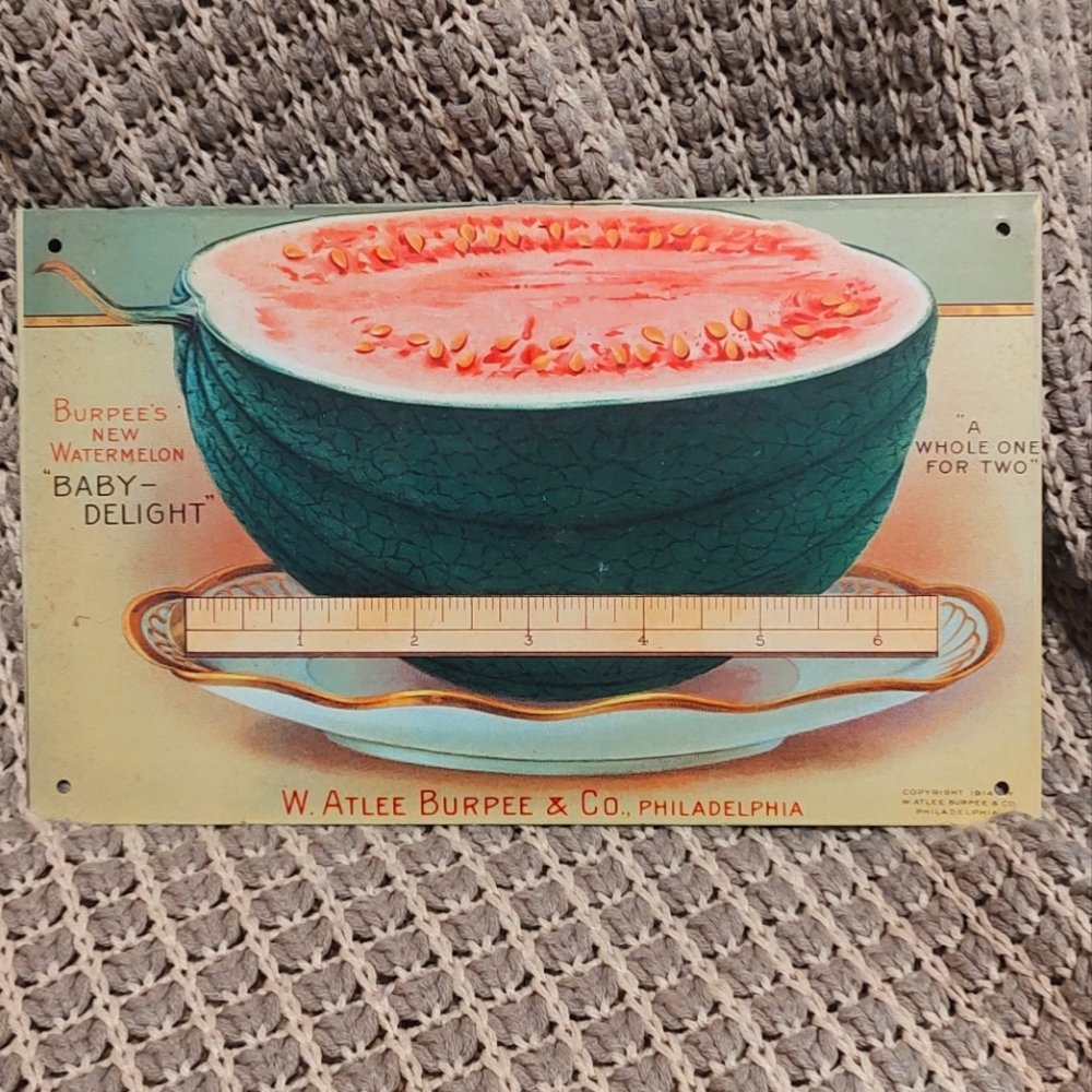 Burpee watermelon small tin sign print from 1996